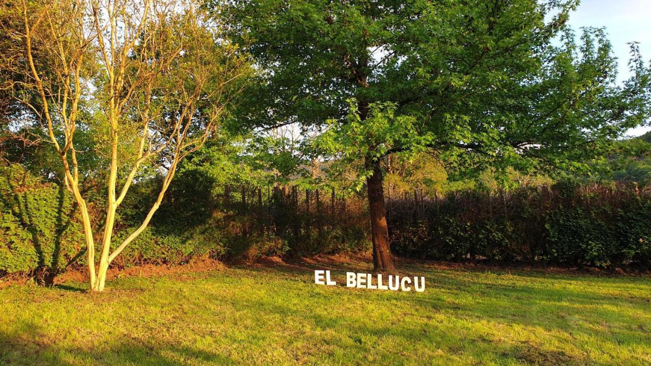 Onís Casa Rural El Bellucu מראה חיצוני תמונה