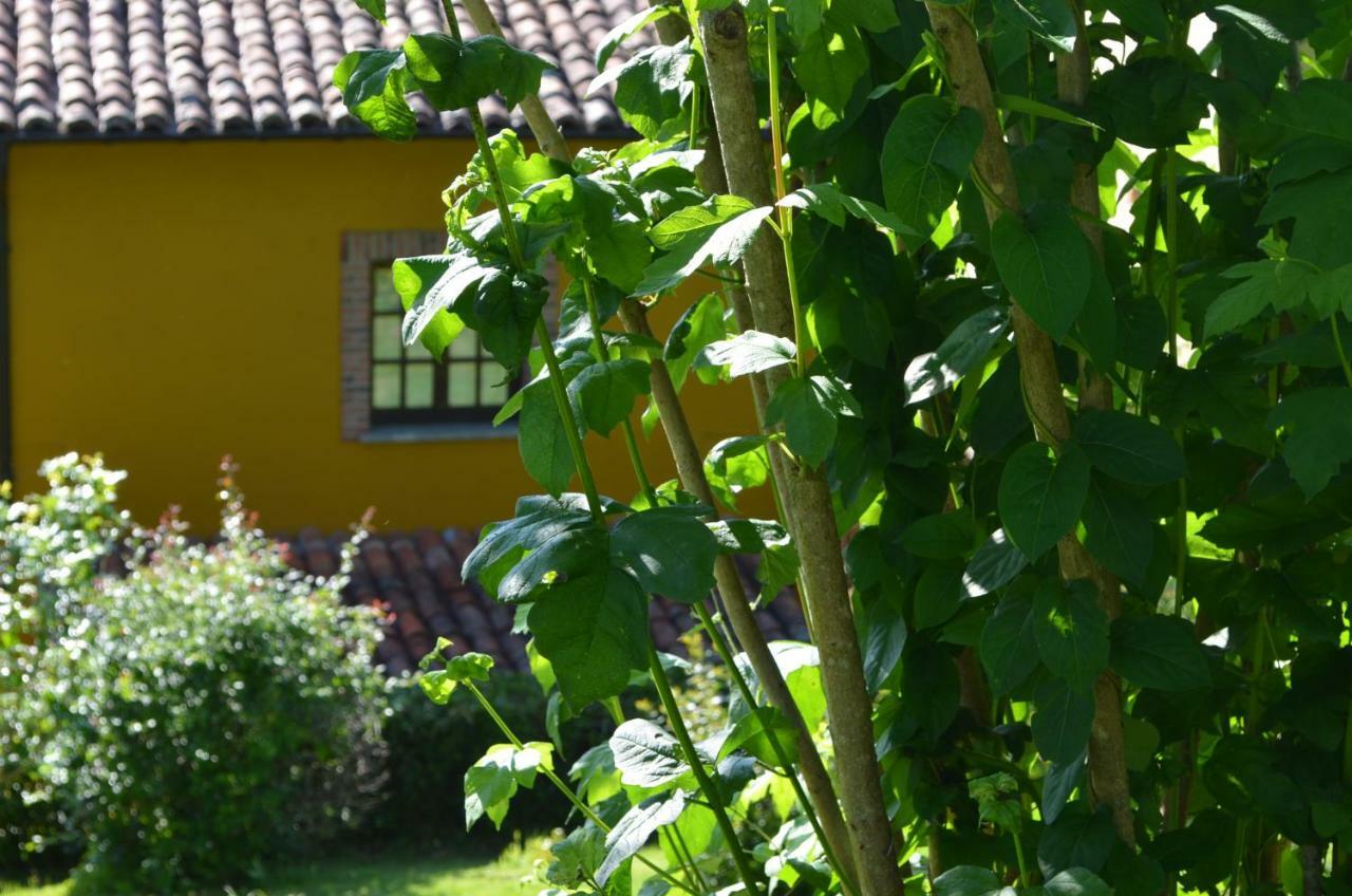 Onís Casa Rural El Bellucu מראה חיצוני תמונה